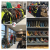 d10ab65352c590b92fde42a04cac9123.png