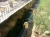 f12980623b99abeb604692d68edcaecf.webp