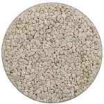 Kruszywo marmurowe BIANCO BOTTICINO 25kg 2-4mm