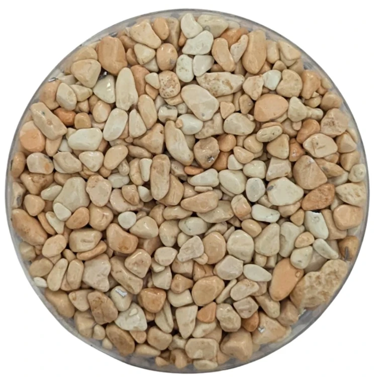 Rosa Corallo 4-8 (Copy).jpg