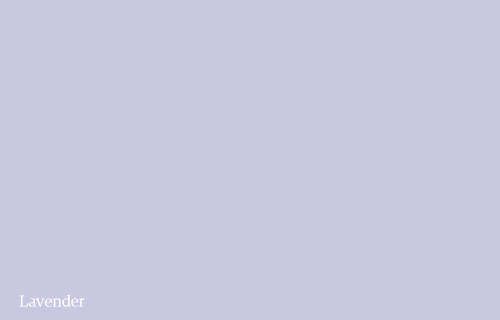 4cc4535c7dea6c701cb8be408f961fb4