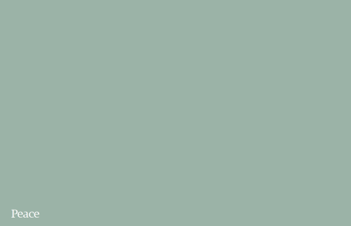 b2d37f05917e2ae2f5d078a28da8d2e9