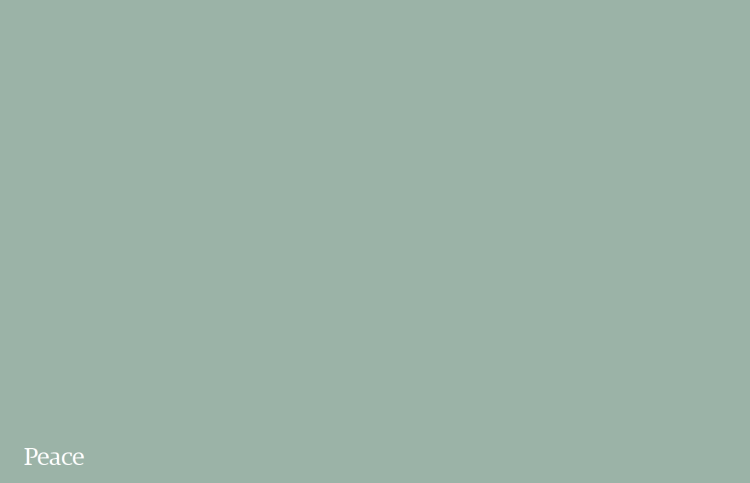 b2d37f05917e2ae2f5d078a28da8d2e9