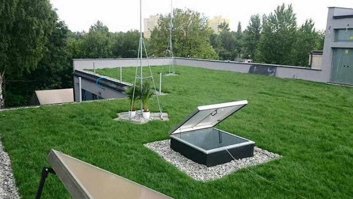 zielony dach, dach z ogrodem, termoizolacja dachu