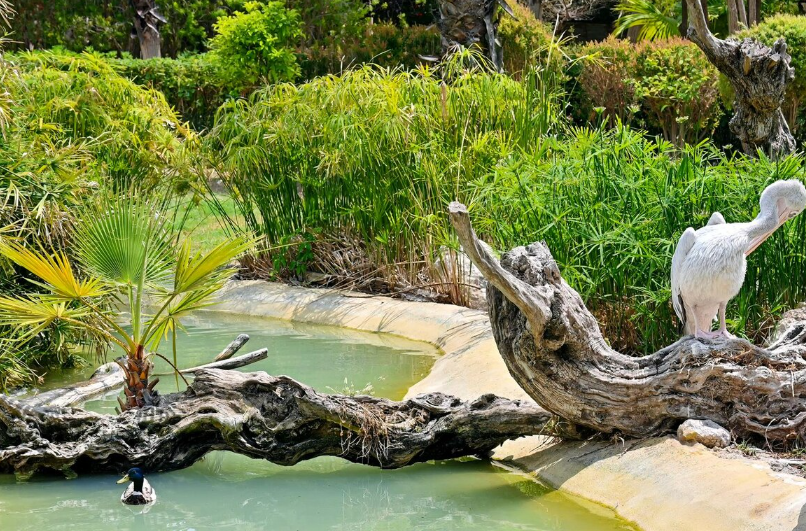 basen, fontanna, basen betonowy